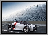 Roadster, Audi Urban Spyder